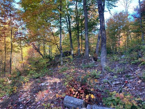 Terre/Terrain - Ch. De L'Orignal, Sainte-Thècle, QC 