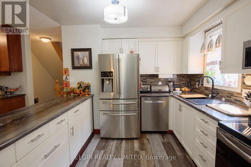 59 Wilkins Crescent, Tillsonburg, ON - Indoor Photo Showing Kitchen With Stainless Steel Kitchen