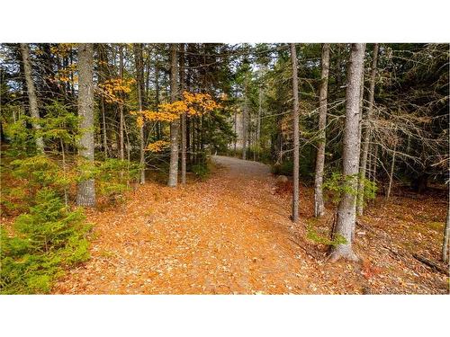 33 Osprey Lane, Breadalbane, NB 