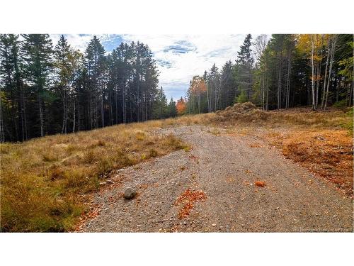 33 Osprey Lane, Breadalbane, NB 