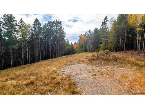 33 Osprey Lane, Breadalbane, NB 