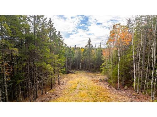 33 Osprey Lane, Breadalbane, NB 