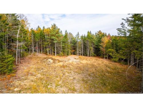 33 Osprey Lane, Breadalbane, NB 