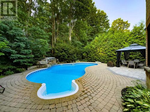 BACKYARD RAVINE VIEW - 78 Charing Crescent, Aurora, ON - Outdoor With In Ground Pool With Backyard