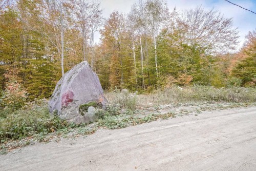 Extérieur - 223 Ch. Du Lac-Lili, Chertsey, QC 