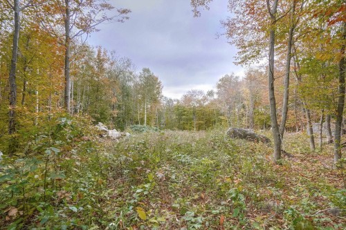 Extérieur - 223 Ch. Du Lac-Lili, Chertsey, QC 