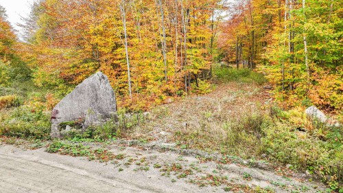 Photo aérienne - 223 Ch. Du Lac-Lili, Chertsey, QC 