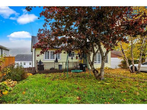 111 Cornwall Avenue, St. John'S, NL 