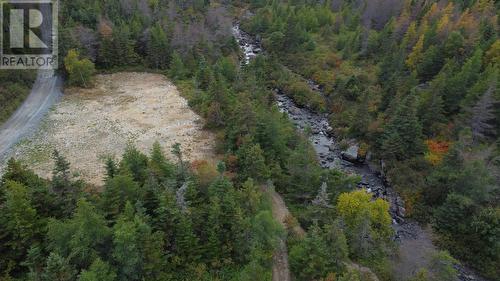 72 Gully Path, Harbour Grace, NL 