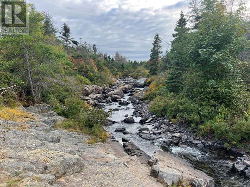 72 Gully Path, Harbour Grace, NL 