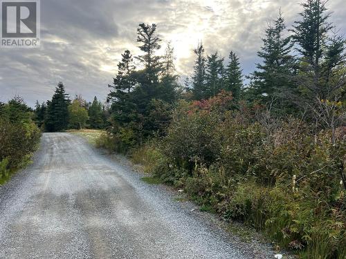 72 Gully Path, Harbour Grace, NL 