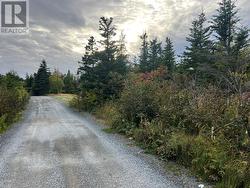 72 Gully Path  Harbour Grace, NL A1A 2M0