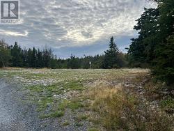 72 Gully Path  Harbour Grace, NL A1A 2M0