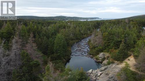 72 Gully Path, Harbour Grace, NL 