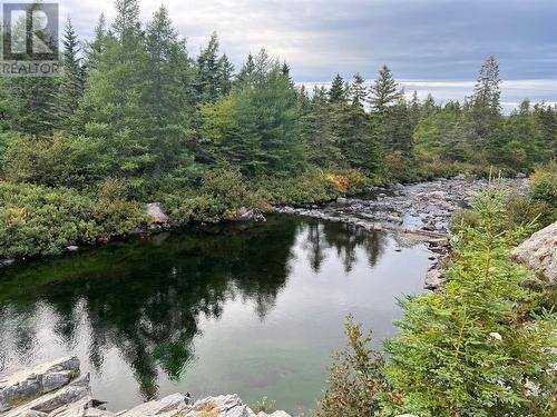 72 Gully Path, Harbour Grace, NL 