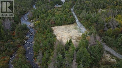 72 Gully Path, Harbour Grace, NL 