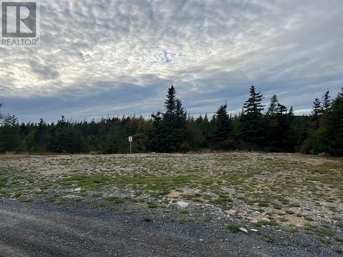 72 Gully Path, Harbour Grace, NL 