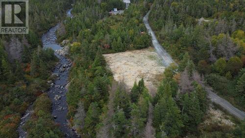 72 Gully Path, Harbour Grace, NL 