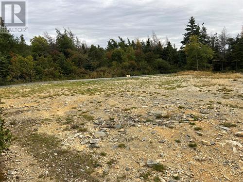 72 Gully Path, Harbour Grace, NL 