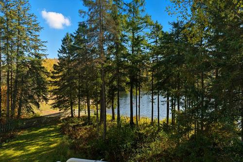 Waterfront - 215-778 Rue Principale, Saint-Sauveur, QC - Outdoor With Body Of Water With View