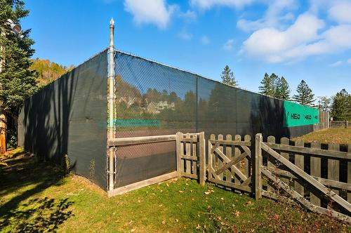 Other - 215-778 Rue Principale, Saint-Sauveur, QC - Outdoor