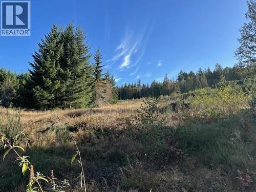 5628 Tanner Ave, Powell River, BC - Outdoor With View