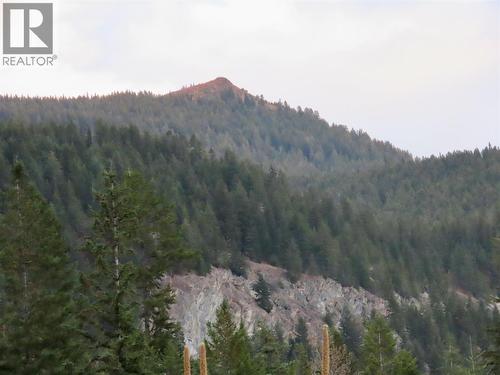 470 Reflection Lake Road Lot# 46, Golden, BC 