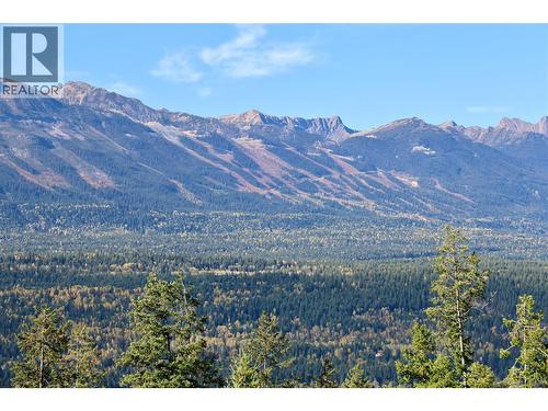 470 Reflection Lake Road Lot# 46, Golden, BC 