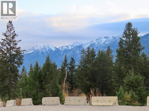 470 Reflection Lake Road Lot# 46, Golden, BC 