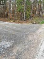 945 SHANICK ROAD  Marmora And Lake (Marmora Ward), ON K0K 2M0