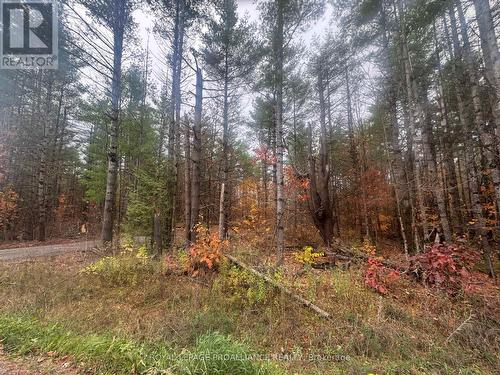 945 Shanick Road, Marmora And Lake (Marmora Ward), ON 