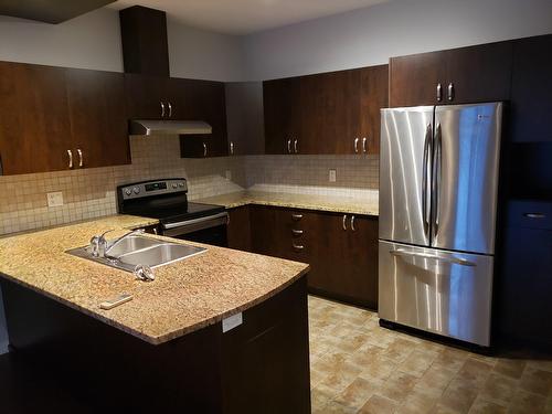 Kitchen - 5-68 Rue De Bruxelles, Gatineau (Aylmer), QC - Indoor Photo Showing Kitchen With Double Sink