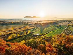 45 Rg des Vingt  Saint-Basile-Le-Grand, QC J3N 0E3