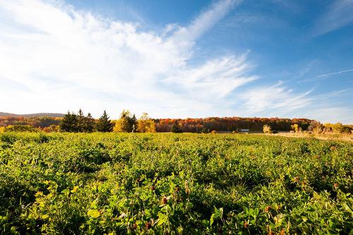 Overall view - 45 Rg Des Vingt, Saint-Basile-Le-Grand, QC 