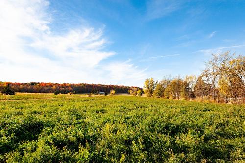 Overall view - 45 Rg Des Vingt, Saint-Basile-Le-Grand, QC 