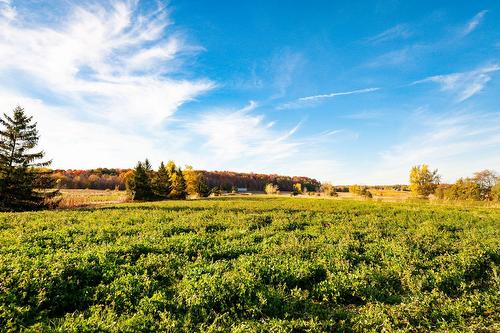 Overall view - 45 Rg Des Vingt, Saint-Basile-Le-Grand, QC 