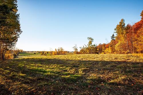 Overall view - 45 Rg Des Vingt, Saint-Basile-Le-Grand, QC 