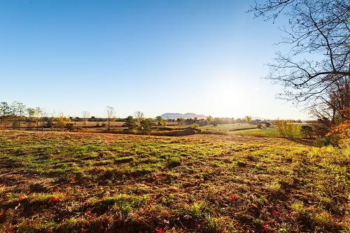 Overall view - 45 Rg Des Vingt, Saint-Basile-Le-Grand, QC 