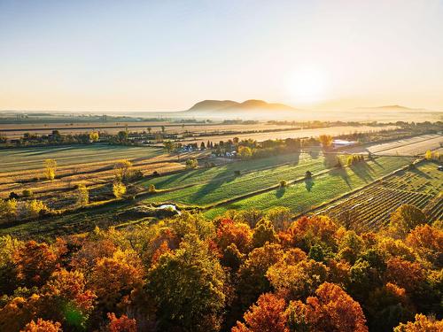 Aerial photo - 45 Rg Des Vingt, Saint-Basile-Le-Grand, QC 
