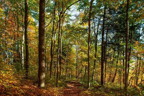 Maple grove - 45 Rg Des Vingt, Saint-Basile-Le-Grand, QC 