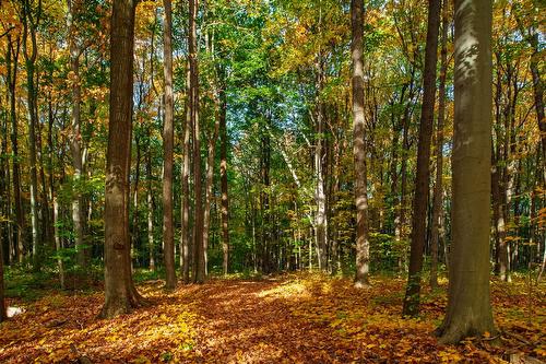 Maple grove - 45 Rg Des Vingt, Saint-Basile-Le-Grand, QC 