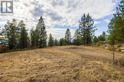 4.5+ acres on the other side of Upper Booth Road N - 5705 Upper Booth N Road, Kelowna, BC - Outdoor With View