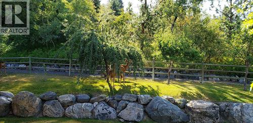 Side yard with Mini Organic Orchard - 5705 Upper Booth N Road, Kelowna, BC - Outdoor
