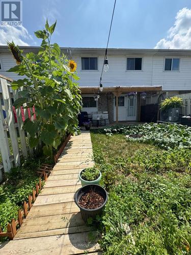 735 Parkview Crescent, Cambridge, ON - Outdoor