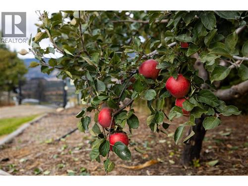 5432 Rochdell Road, Coldstream, BC - Outdoor