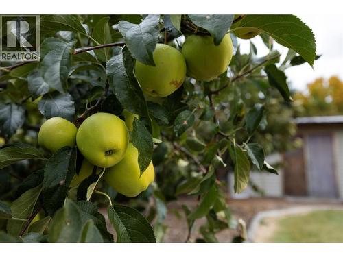 5432 Rochdell Road, Coldstream, BC - Outdoor