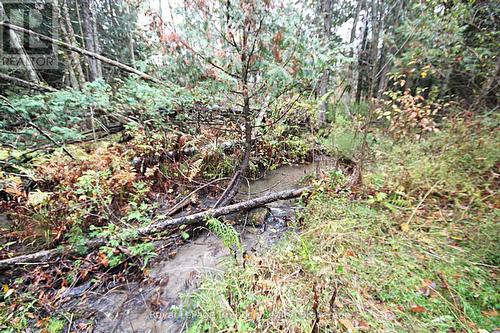 18 Shady Glen Lane, Mono, ON - Outdoor