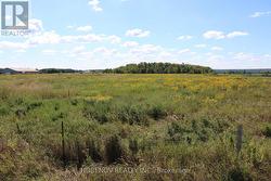 0 HURONTARIO STREET  Caledon, ON L7C 2C2