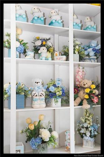 569 Woodstock Rd, Fredericton, NB 