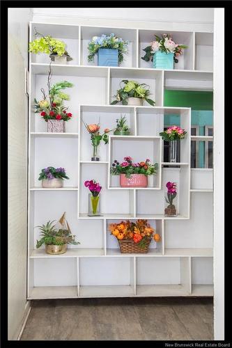 569 Woodstock Rd, Fredericton, NB 